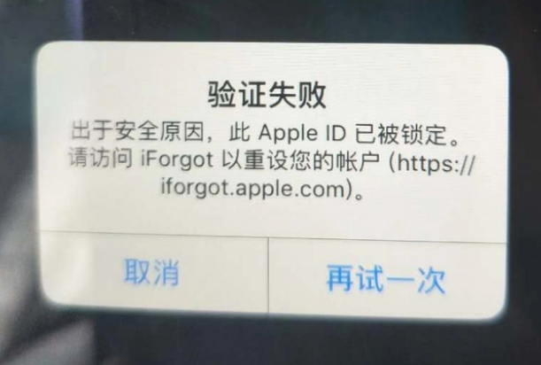 隰县iPhone维修分享iPhone上正常登录或使用AppleID怎么办 