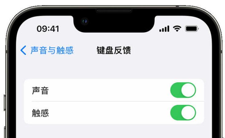 隰县苹果手机维修分享iPhone 14触感键盘使用方法 