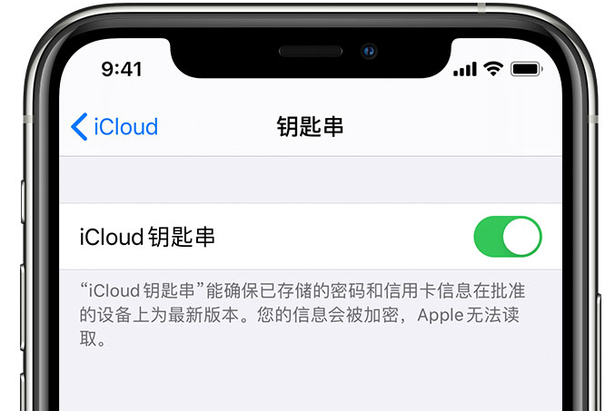 隰县苹果手机维修分享在 iPhone 上开启 iCloud 钥匙串之后会储存哪些信息 
