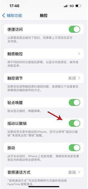 隰县苹果手机维修分享iPhone手机如何设置摇一摇删除文字 