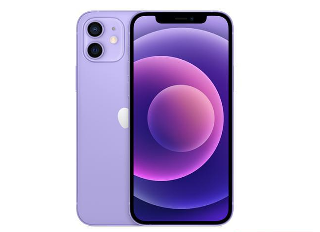 隰县苹果手机维修分享现阶段要不要入手紫色版iPhone12 