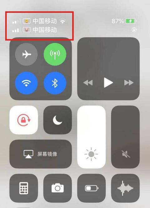 隰县苹果手机维修分享为 iPhone 12 双卡设置标签 