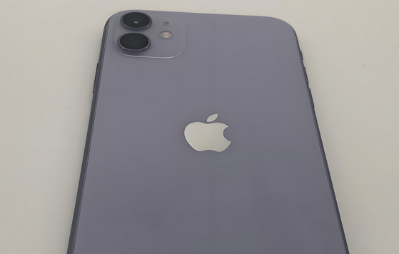 隰县苹果11系统维修分享iPhone11手机系统崩溃无法开机如何解决 